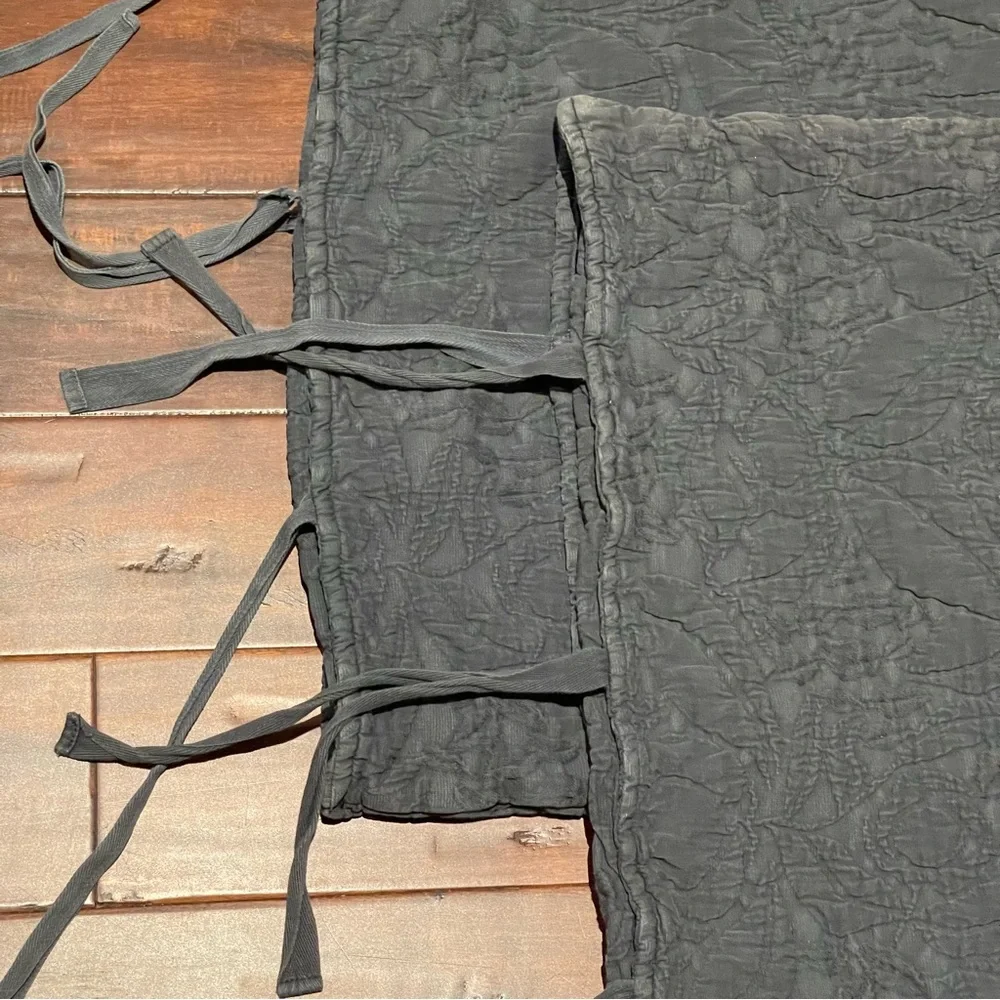 2 Pottery Barn euro shams